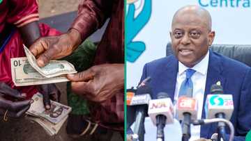 Naira gains against US dollar, British pounds in official market