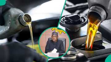 FG to begin issuing lubricant import licences as local manufacturers warn of 200,000 job losses