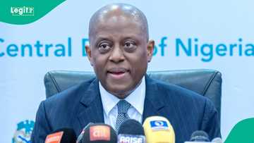Naira crashes: CBN sells $580 million to banks, authorised dealers in FX markets
