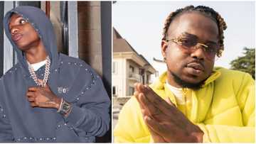 "Popsy like better sound": Wizkid teases collaboration with producer Rexxie, fans are charged up