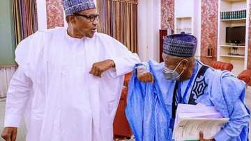 Ku yi koyi da Kano - Ganduje ya bawa FG satar amsar yadda za a kawo karshen matsalar tsaro