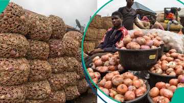 Lagos Onion Prices Surge Over 200% as Shortages Pushes Rates to New Levels