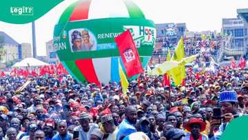 Kano, Borno da jihohi 5 da za su iya fin kowane zuba wa Tinubu kuri’u a Arewa