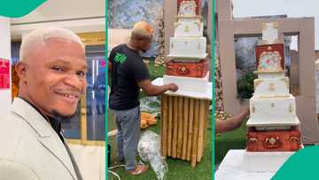 "You found your purpose": Fish Pie Guy designs eye-popping cake, displays it for people to see