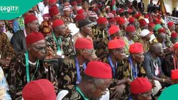 Northern elders mention when Igbos should produce presidential candidate: "2027 is for southwest"