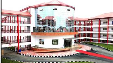 Bidiyon yadda Daliban Jami’a suka tsuguna har kasa, suna bada hakurin rashin shiga aji