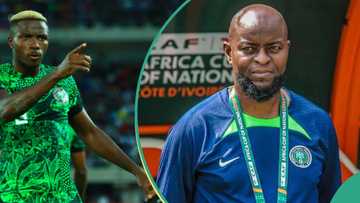 Finidi George reacts to Victor Osimhen’s outbursts on injury allegations, video emerges