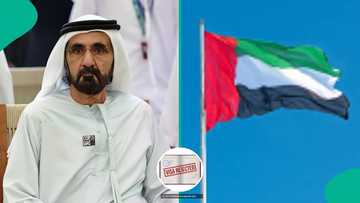 UAE publishes 5 reasons a foreigner could be barred from entering the country, explains rules