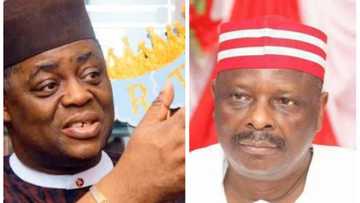 Kwankwaso Kai Mara Hankali Ne, Mai Saka 'Dan Kampan Mata, Kayi Hattara: Fani Kayode