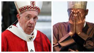 Stop killings in Nigeria - Pope tells Buhari in viral video