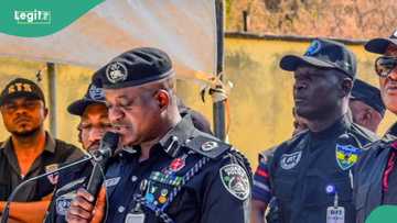 "No gree for anybody": Nigerian police warn against use of viral slang in trending video