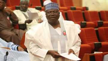 Shugabancin majalisa: Zababben gwamnan Yobe ya mara wa Ahmad Lawan baya