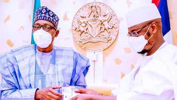 Hada Layin Waya da NIN Zai Taimaka Wajen Magance Matsalolin Tsaro, Buhari