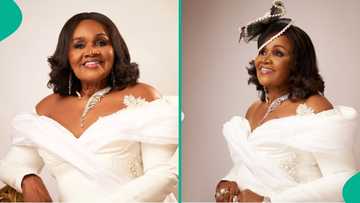Nigerian female billionaire, who started as chemist, raises $19.8m to complete antimalarial plant