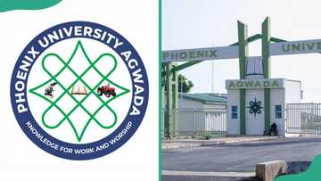 Phoenix University, Agwada courses, admission requirements and procedure