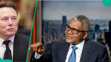 Elon Musk’s net worth soars to new high as Dangote drops 7 places in billionaire ranking