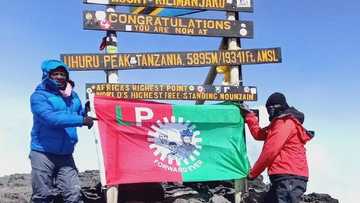 Mai Goyon Bayan Peter Obi Ya Hau Kololuwar Dutse Mafi Tsawo A Afirka Ya Kafa Tutar LP