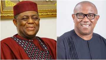 "Obidients signed a pact with lucifer" FFK says after Peter Obi releases 62-page campaign manifesto