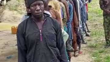Kasurgumin dan ta'adda mai daukar bidiyo ga Boko Haram ya mika wuya ga sojoji