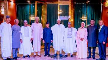 Full names of President Buhari's new economy committee tasked to find solutions to Naira, Oil theft others