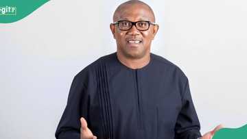 Peter Obi speaks on how Nigeria can remain productive: "We've all it takes"