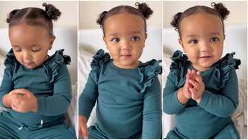 "She loves learning": Little girl who knows how to count numbers in 4 languages goes viral, video trends