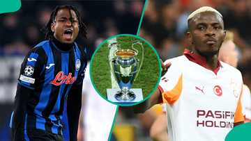 Osimhen, Lookman and other Super Eagles stars who will play Champions League this season