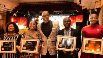 IBPLC Emerges Best Beverage Company of the Year, Bags Multiple Awards in Sustainability, Brands