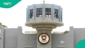 University of Ibadan establishes Nigeria's first faculty of physiotherapy after 60 years