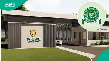 Full list: Wigwe University offers scholarships to top JAMB scorers