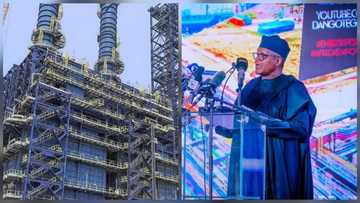 Labari Mai Daɗi: Sabuwar Matatar Man Ɗangote Zata Ɗauki Ma'aikata Masu Ɗumbin Yawa a Najeriya