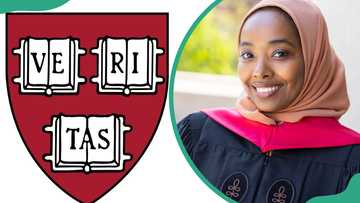 Harvard University scholarship options for Nigerian students to explore