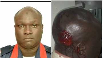 Yanzu-yanzu: 'Dan Shehun Borno ya make jami'in tsaro wajen wasan mota (Bidiyo)