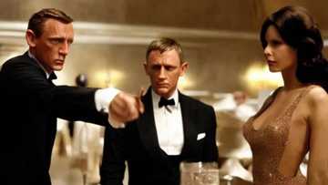 Lights, Camera, Action: Exploring the Allure of Casino-Themed Movies