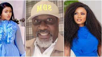 I'm not in a relationship with him: Omoborty reacts to report that she 'stole' Dino Melaye from Iyabo Ojo