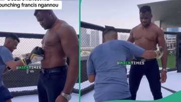"His look changed gradually": Video shows Francis Ngannou's reaction as man punches him repeatedly