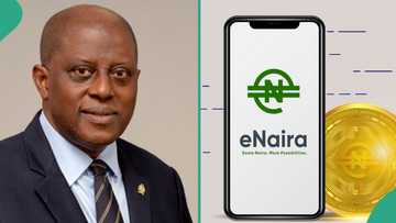 “Faster, cheaper payments”: CBN speaks on releasing eNaira version 2.0, lists important features