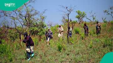 South-West kidnapping: The blind spots no one is tracking