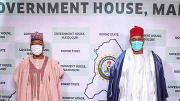 Borno: Sabon Shehun Bama ya kai wa Gwamna Zulum ziyarar ban girma (Hoto)