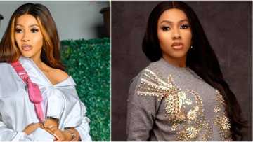 Hilarious reactions as BBNaija Mercy Eke says dinner date with her is better than N100k