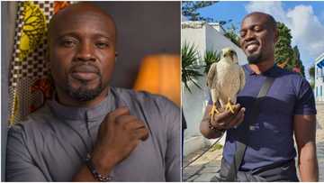 FESPACO 2021: Nollywood filmmaker Adekunle Adejuyigbe excited, represents Nigeria as jury member