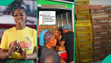 Hilda Baci: Video shows cartons of seasoning, tomato paste for world’s largest pot of jollof rice