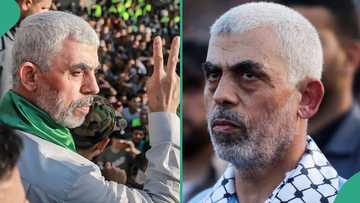 Yahya Sinwar: World leaders anticipate return of peace in Gaza as Israel kills Hamas leader