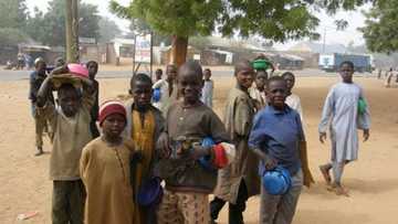 Almajiranci: Arewa na dawowa da kudu dawainiyar da ke kanta - Ohanaeze