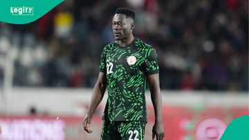 Akor Adams: Super Eagles star's salary emerges after surprise Venezia move