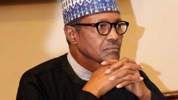 Zargin hadin baki a kan rashin tsaron Zamfara: CNG ta mika korafi ga Buhari