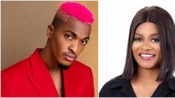 "I’d rather date a human being than Groovy or BBNiaja boys": Phyna makes U-turn on commitment goals