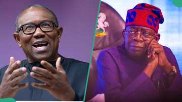 “In severe hardship”: Peter Obi demands urgent action from Tinubu as terrorists invade Benue, kill 30