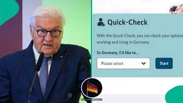 Germany launches website where foreigners can check if they qualify to work or study in the countr