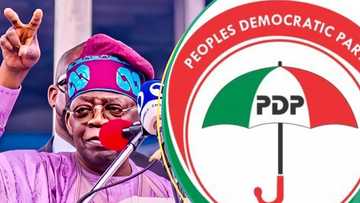 PDP chieftain mentions Tinubu's 2027 re-election strategy, reveals how he will be stopped